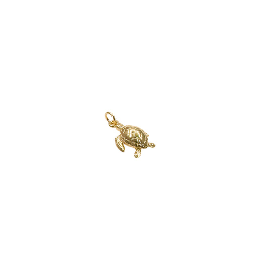 TORTUGA CHARM