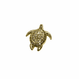 TORTUGA CHARM